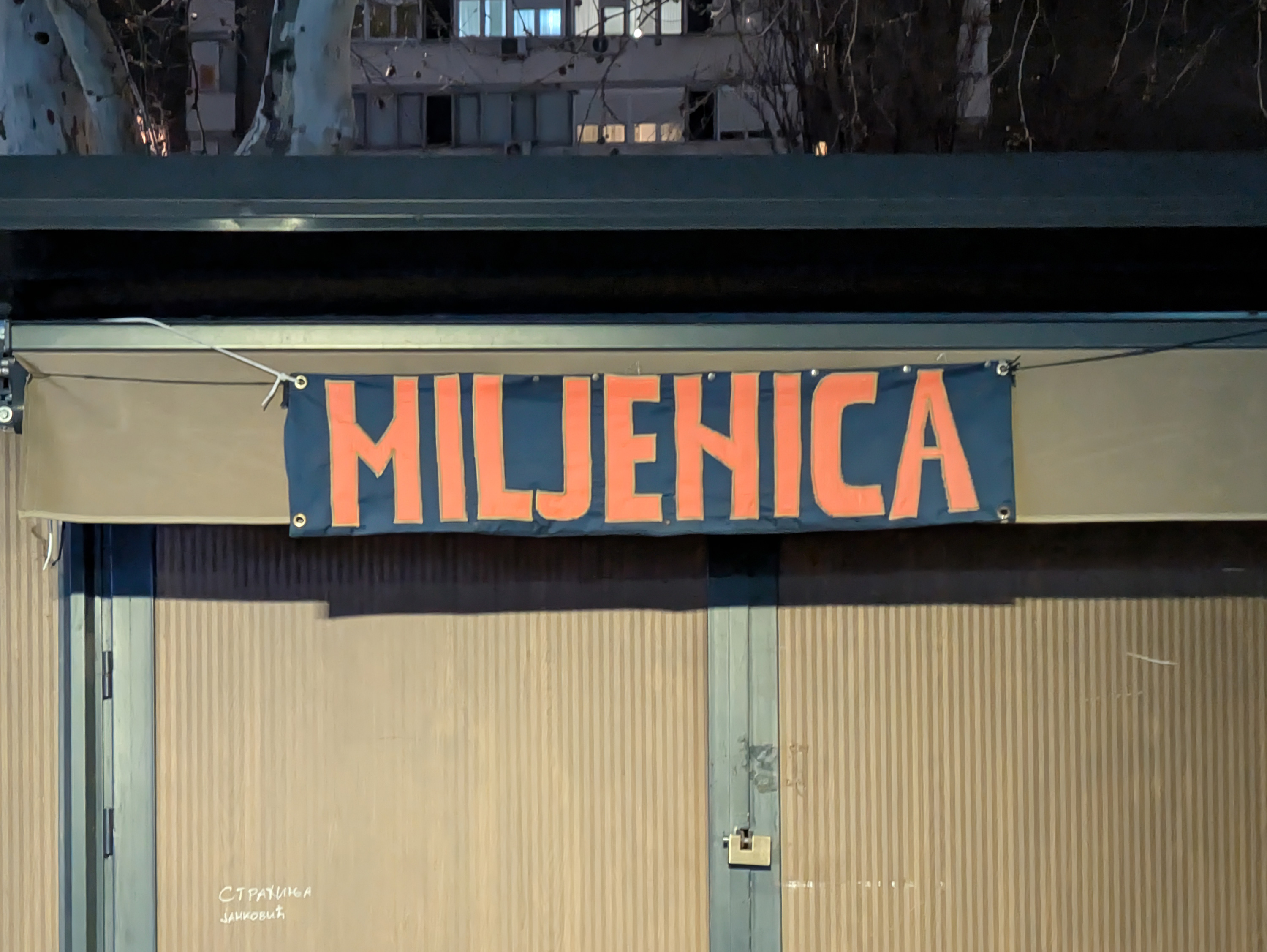 Miljenica