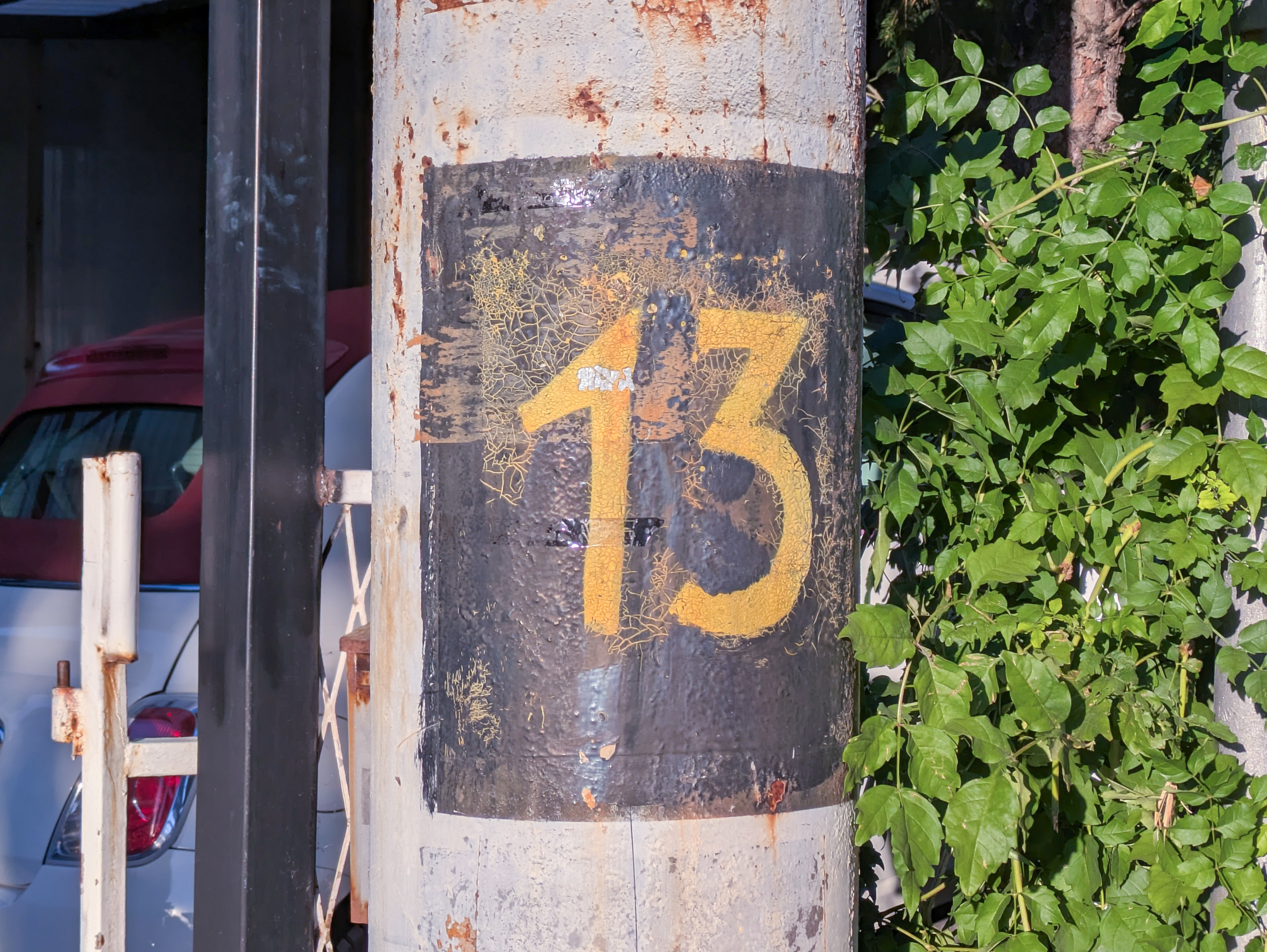 13 Rajka od Rasine